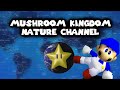 Mario 64 m k nature channel