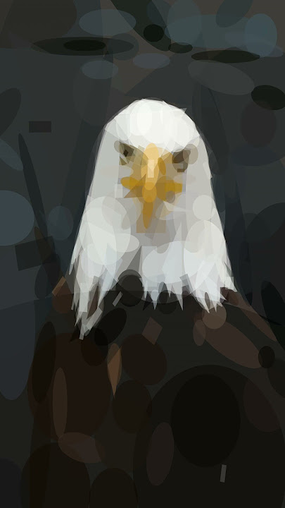 Time-lapse of geometric artwork #timelapse #artistic #relaxing #zen #collage #eagle #animals