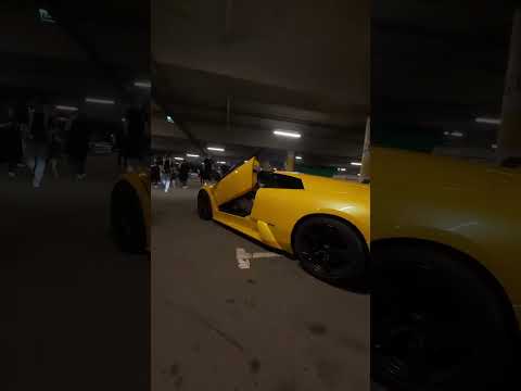 DNB 🔰 Видеограф: 9bumble8 🐝