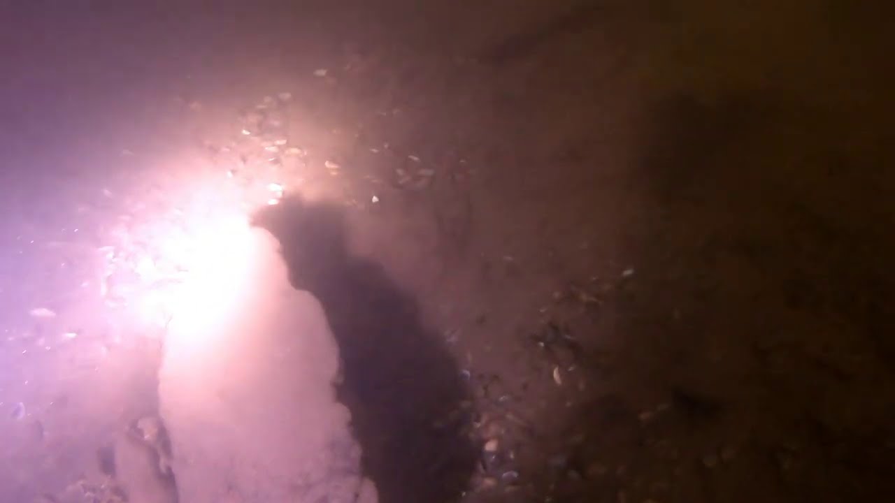 ЭХОЛОТ. ЧТО ОН ВИДИТ? ПОДВОДНАЯ СЪЕМКА. - YouTube