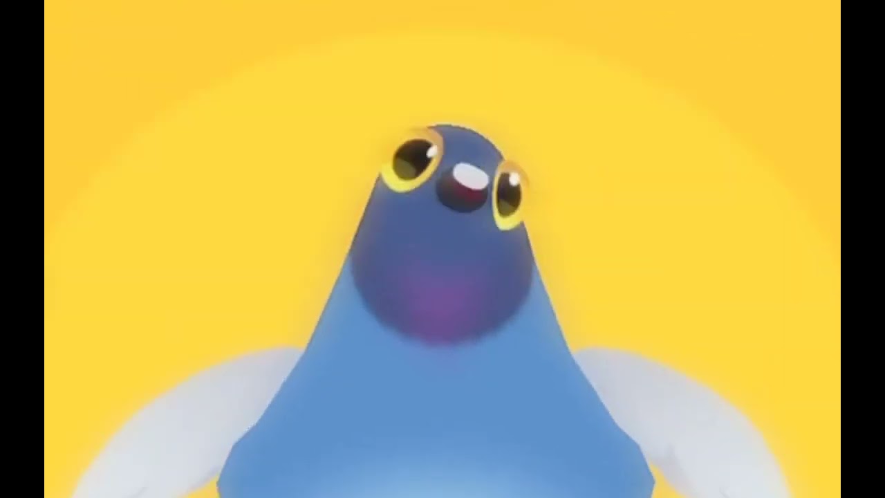 A pigeon video | pigeon pop and real pigeons