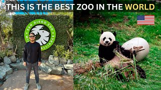 Visiting the No 1 Rated Zoo in the World || Is it really the best ? ||