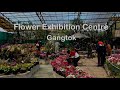 Places to Visit in Gangtok 👆🏻😍💕 | Flower Exhibition Centre | Youtube Vlog | #ytvlogs #gangtok