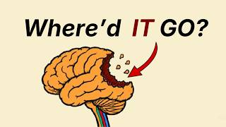Why You Forget Everything You Study (And How to Fix It)