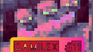 Camilex 11. ¿un nuevo comienzo ?