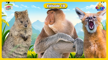 Guess Rare & Wild Animals 🌍 | Fun Educational Animal Quiz for Kids & Preschool (PART 3)