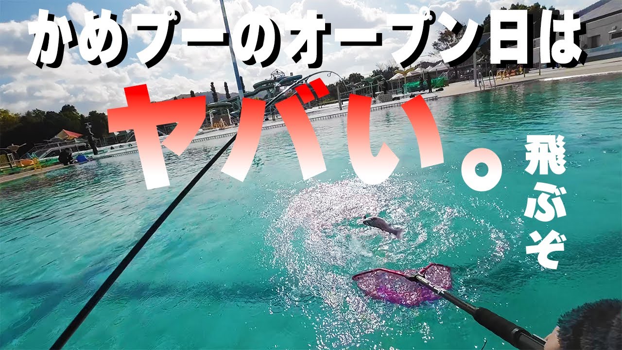 かめプーのオープン日はとにかくヤバかった【エリアトラウト】#エリアトラウト