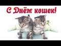 Смешное видео с котами - ДЕНЬ КОШКИ  &amp;  1 марта День кошки