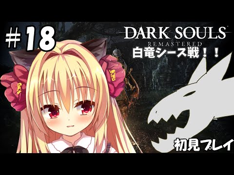 【ダークソウル/DARK SOULS】白竜シースさん！！覚悟！！【華香院つばき】