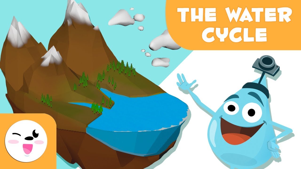 The water cycle for kids - What is the water cycle? - Why does it rain? -  Science for children - YouTube