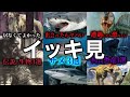 【閲覧注意】ちぃりくだ〜おのショート動画をイッキ見Part1 #shorts