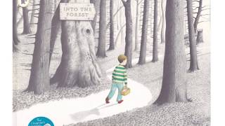 Into the Forest by Anthony Browne Resimi
