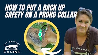 How to put a back up safety on your prong collar