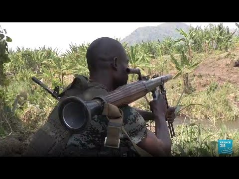 Guerre dans le Nord Kivu  la RD Congo accuse le Rwanda de soutenir les rebelles du M23  FRANCE 24