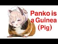 Panko Was Called A Guinea (Pig)