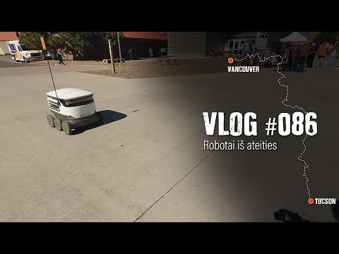 Video: Karininkai ir šakalai