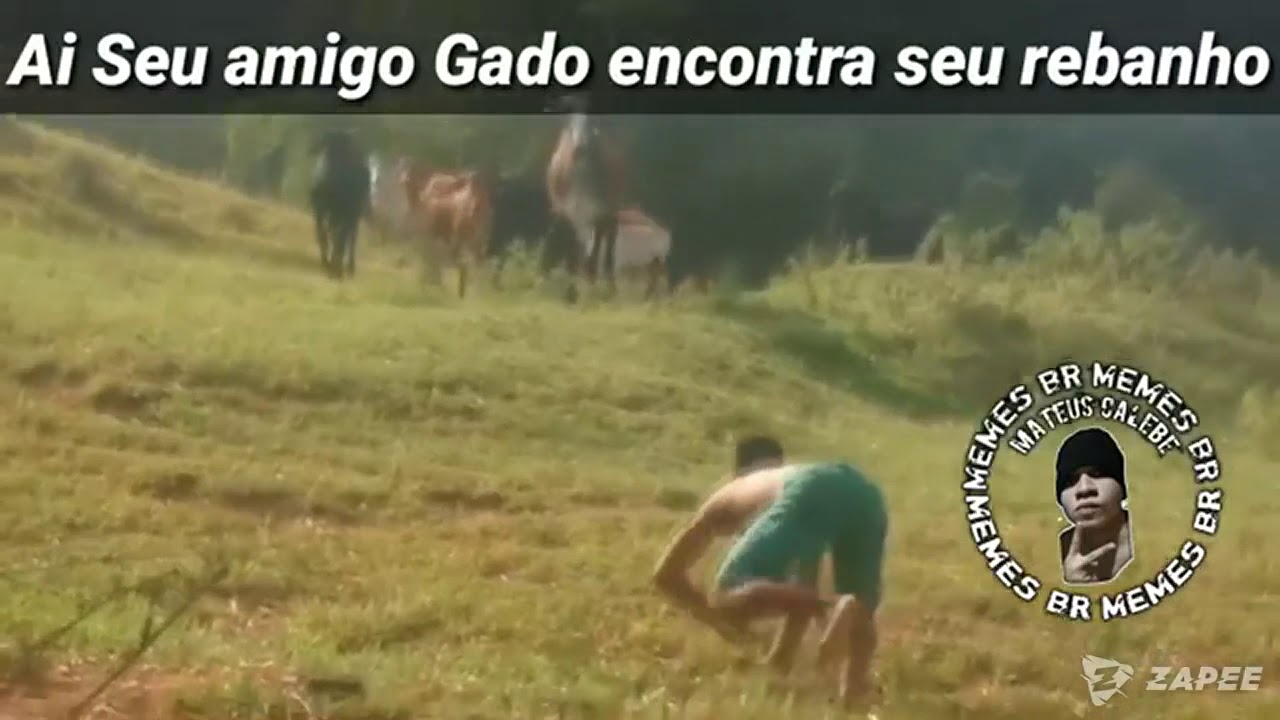 Eis que seu amigo é gado. MEME #1 - YouTube