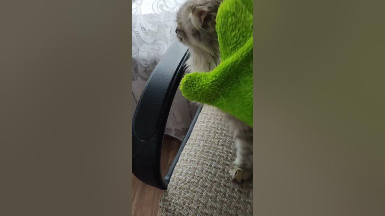 Варежка Твист Гринвей
