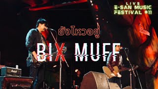 ยังไหวอยู่ - BIX MUFF (Live) @E-San Music Festival 11