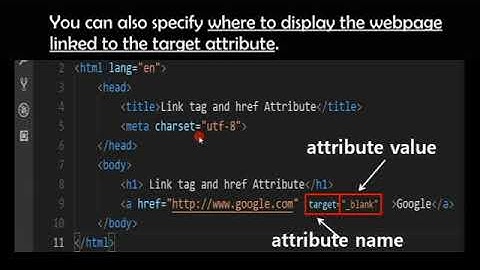 Anchor tag and href attribute [learn html 011]