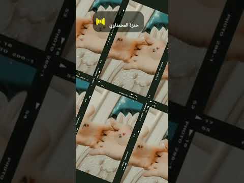 زوجي الغالي أنت سندي ومسندي وإتكائي وقوتي وم لكي ومملكتي وإليك أنتمي