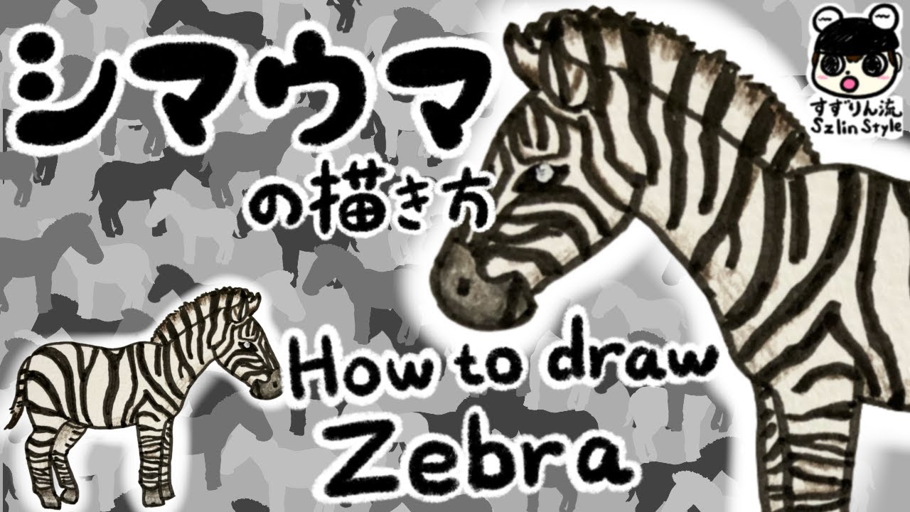 Slightly Realistic How To Draw A Zebra Easy And Cute Youtube