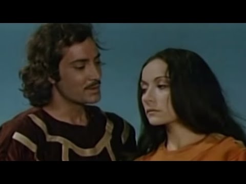 Bamsı Beyrək və Banu Çiçək - İncəbellim