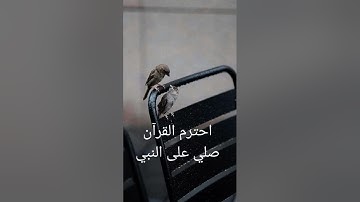 قران كريم #قران_كريم #اكسبلور #المصحف #قرآن #لايك #القزابري #ترند #تيك_توك #الرحمن #راحة_نفسية