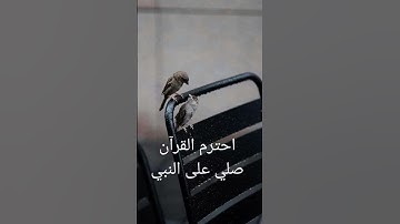 قران كريم #قران_كريم #اكسبلور #المصحف #قرآن #لايك #القزابري #ترند #تيك_توك #الرحمن #راحة_نفسية