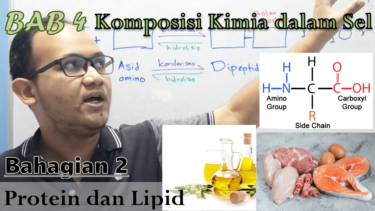 KSSM Bio Ting. 4  - Bab 4 - Komposisi Kimia dalam Sel (Part 2: Protein & Lipid)