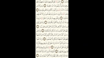 القران الكريم كاملا مقسم الى صفحات بصوت الشيخ مشارى العفاسى الصفحه رقم003