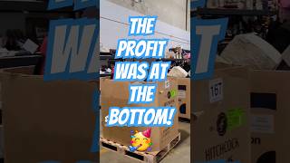 Digging to the Bottom to Find Profit!🤑 #eBay #trolls #reseller
