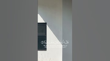 #القران_الكريم #تلاوة_هادئة_ألهم صلي وسلم على سيدنا محمد صلى الله عليه وسلم #تلاوة_هادئة 🌿🤍