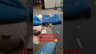 Just chillin on 4th eve and Ws has had fun shredding paper lol