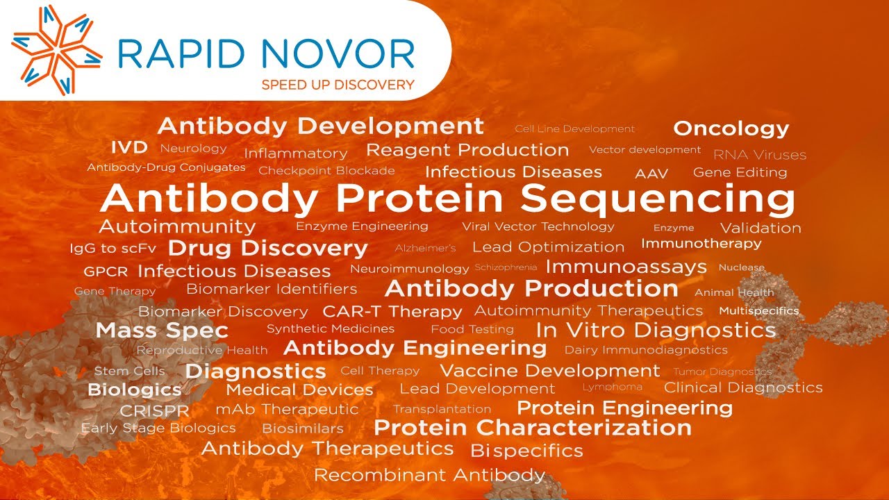 Who Is Rapid Novor YouTube