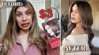REVERSE BALAYAGE WITH $3 BOX DYE!! (WIN OR FAIL??) | LIGHT TO DARK HAIR AT HOME!! | DIY BALAYAGE