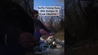 Creek Crappie, Limits of SALBS‼️ #creekfishing  #crappiefishing  #bankfishing  #kayakfishing