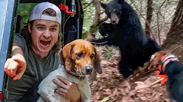 This Bear Wasn