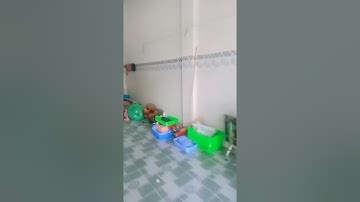 Nhà mặt tiền đường Phan Đình Phùng, Thị Trấn Phan Rí Cửa , Huyện Tuy Phong , Tỉnh Bình Thuận.