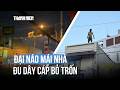 Người Lạ Nghi Ngáo đá đại Náo Mái Nhà đu Dây Cáp Bỏ Trốn 