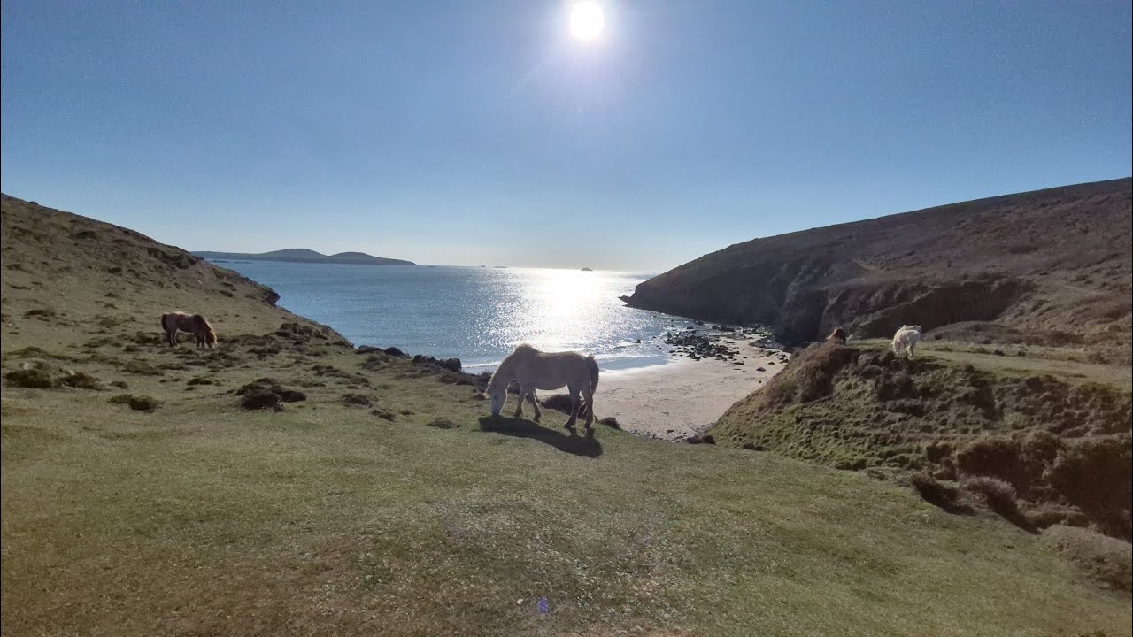 Whitesands Bay, Porthmeglon Beachand around Carn Llidi in Pembrokeshire