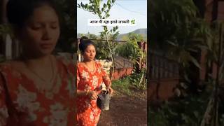 Aaj Mi 10 Zade Lavli ❤️🌿Part-1 Plantation Day 🌱#shortsfeed#minivlog #shorts#plantation#viral
