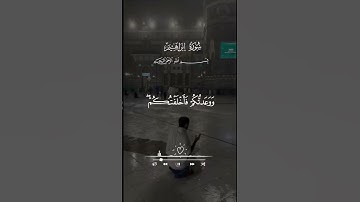 القارئ أحمد العجمي قرآن كريم تلاوات قرانيه #اكسبلور #القران #راحة_نفسية