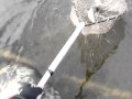 キメラ21の巻きフォール