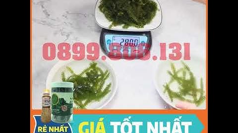 Rong Nho Bình An - Món Quà Từ Biển Cả