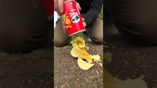 Start Fire with PRINGLES! 🥔🔥 #Shorts #Survival #2026