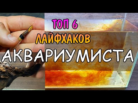 Аквариумные самоделки своими руками