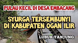 Panen Kelapa di pulau kecil Desa Embacang Ogan Ilir, Buah kelapanya melimpah | Suasana di desa