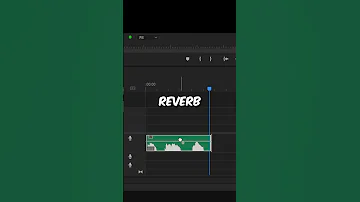 How To Create A Echo Voice Effect In Premiere Pro 