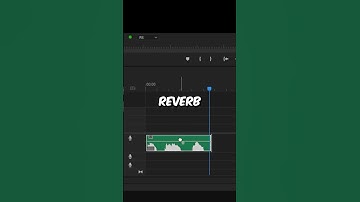 Thumbnail of How To Create a Echo Voice Effect in Premiere Pro